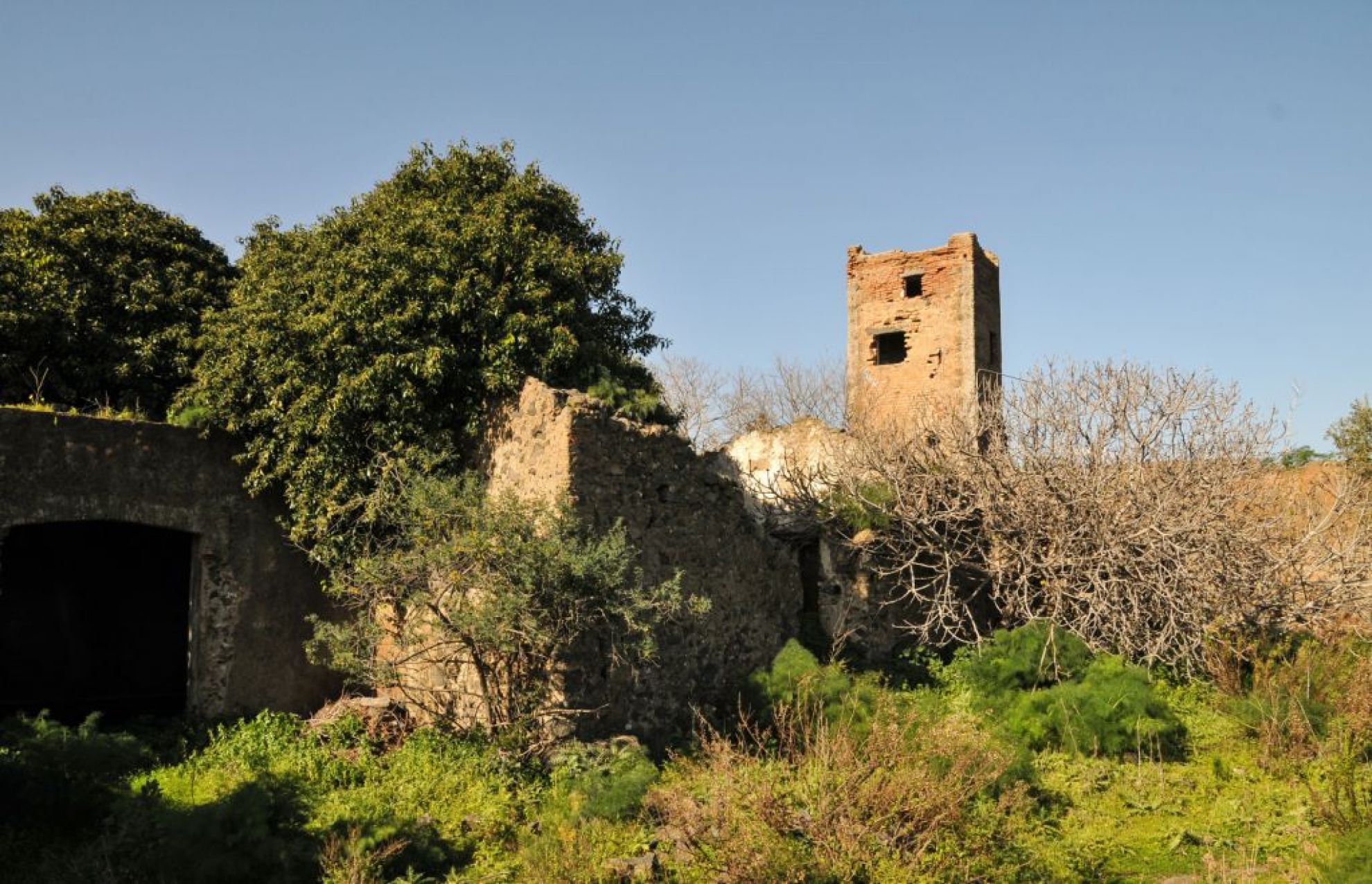 Torre di Casalotto